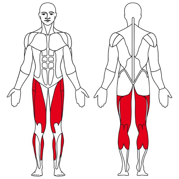 PASO 309